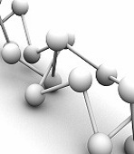 MtDNA Test MtDNA Test