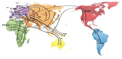 Paternal Lineage Test Map