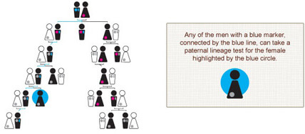 Paternal Lineage Test Tree